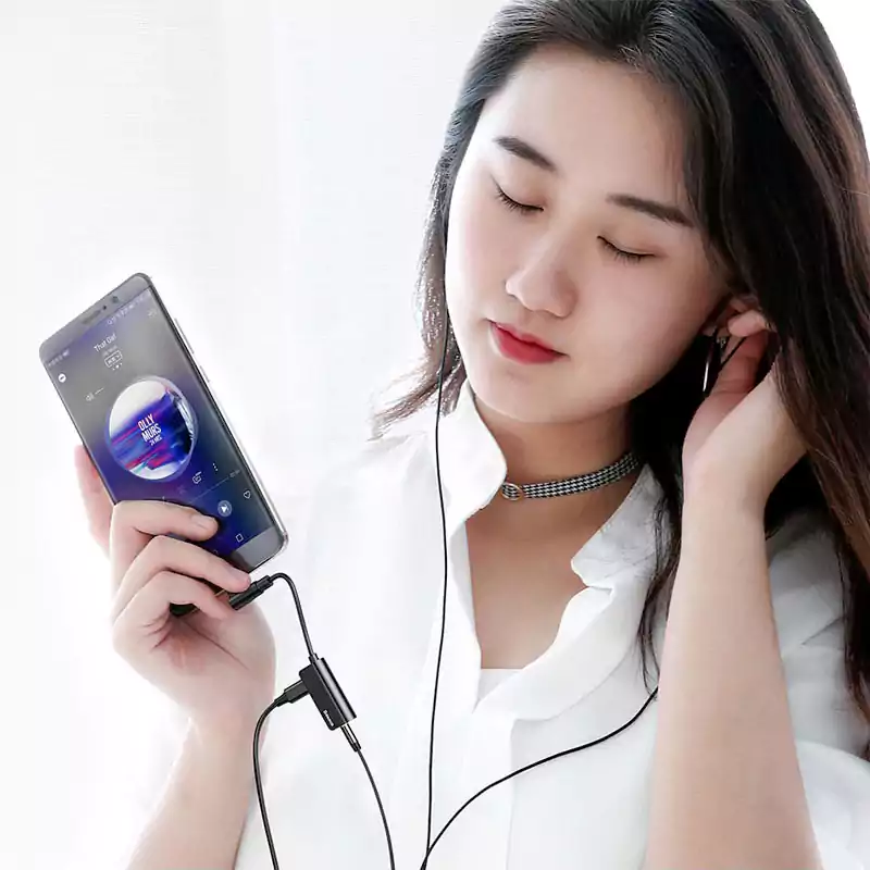 Baseus L45 Converter 4